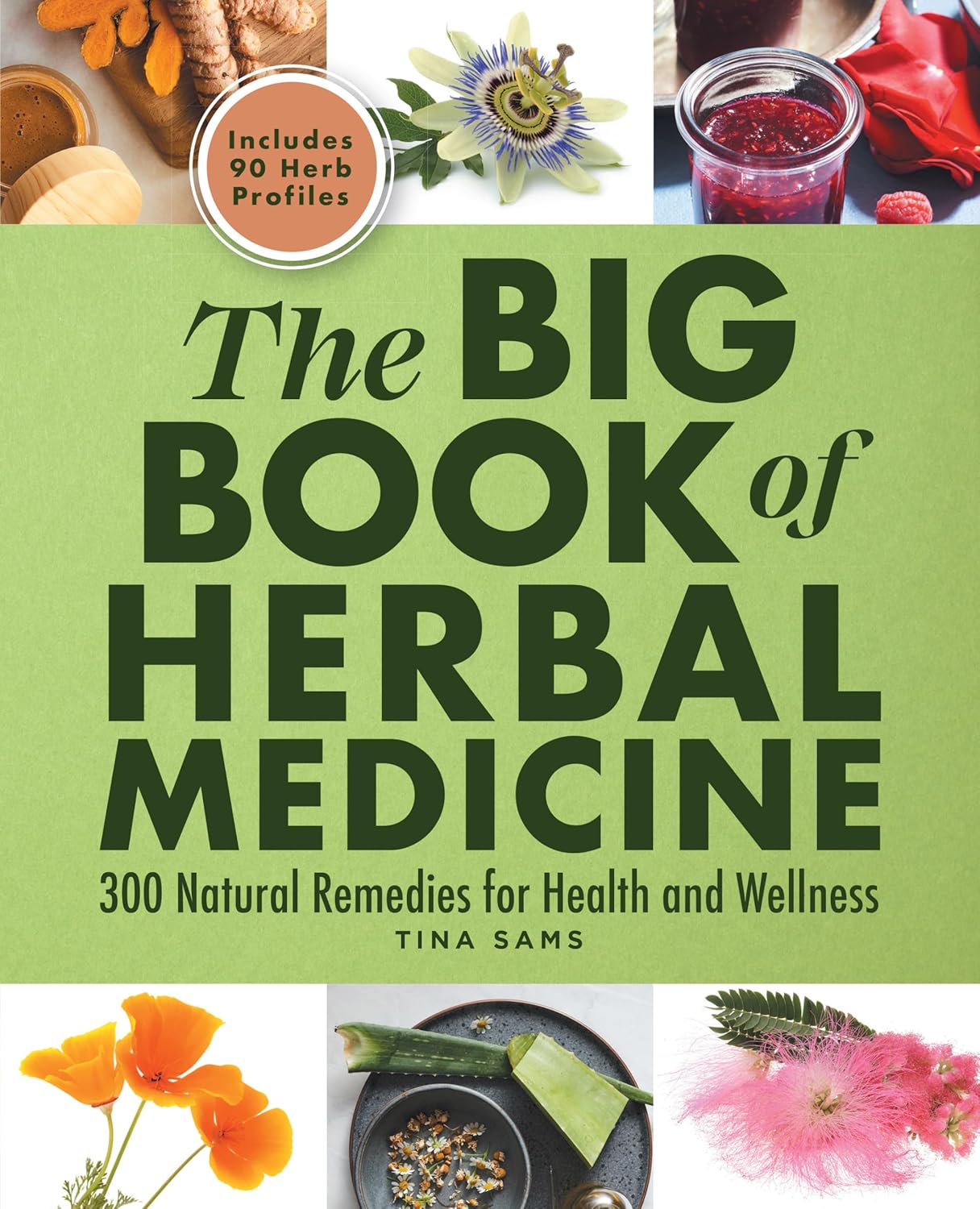 The-Big-Book-of-Herbal-Medicine-300-Natural-Remedies-for-Health-and-Wellness-QbWsC