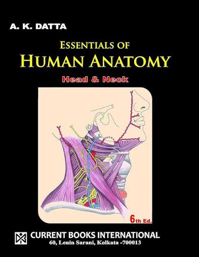 Essentials-of-Human-Anatomy-Head--Neck-Volume-II-6th-Edition-ERuDC