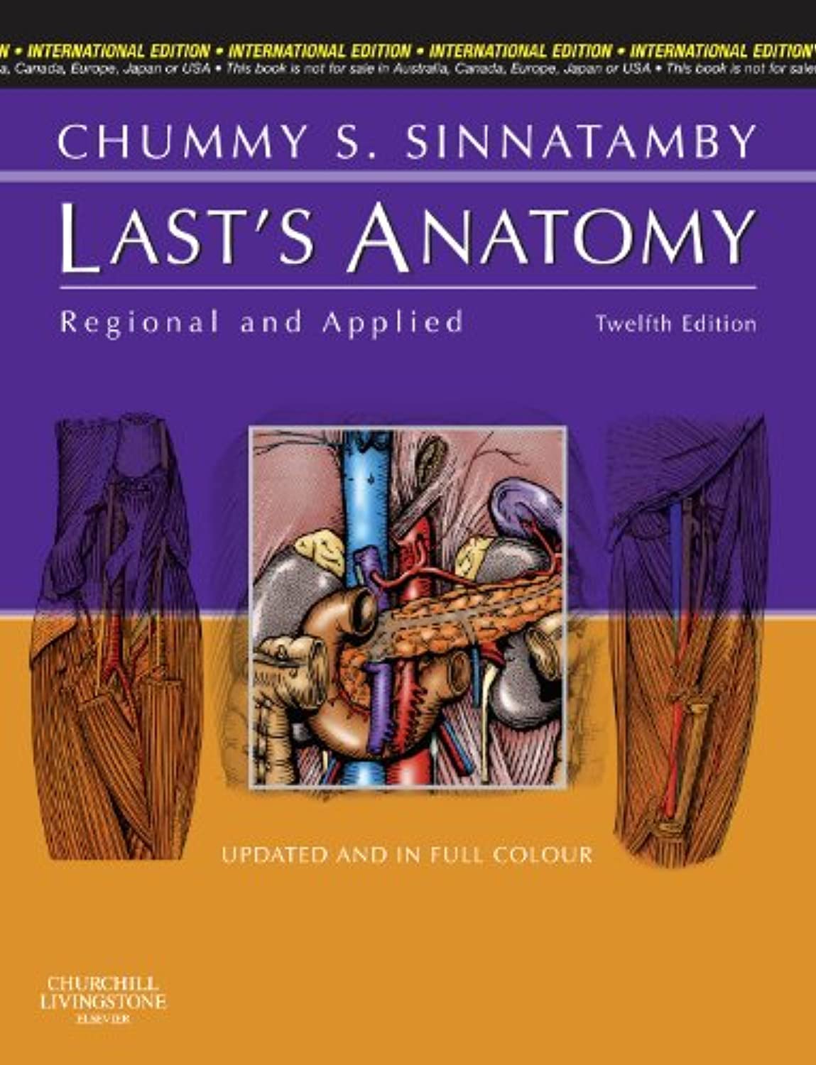 Lasts-Anatomy-Regional-and-Applied-International-Edition-YClND