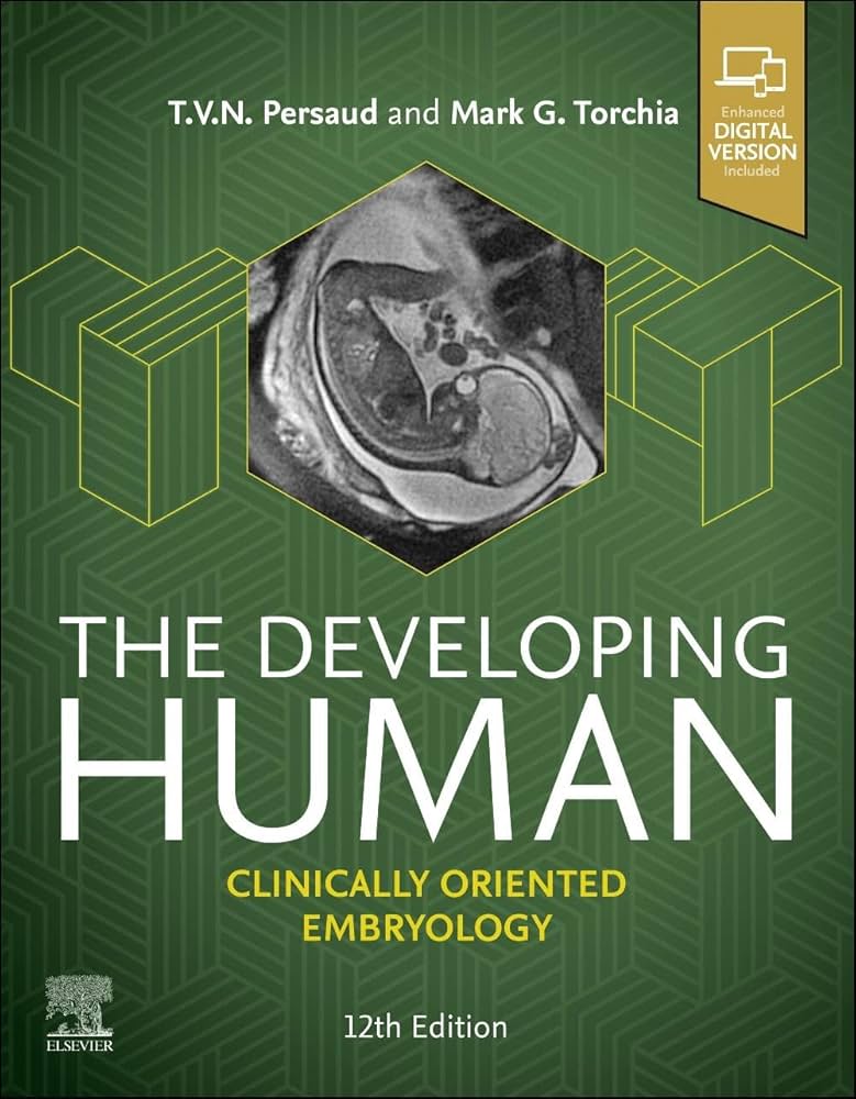 The-Developing-Human-Clinically-Oriented-Embryology-12th-Edition-X32mO