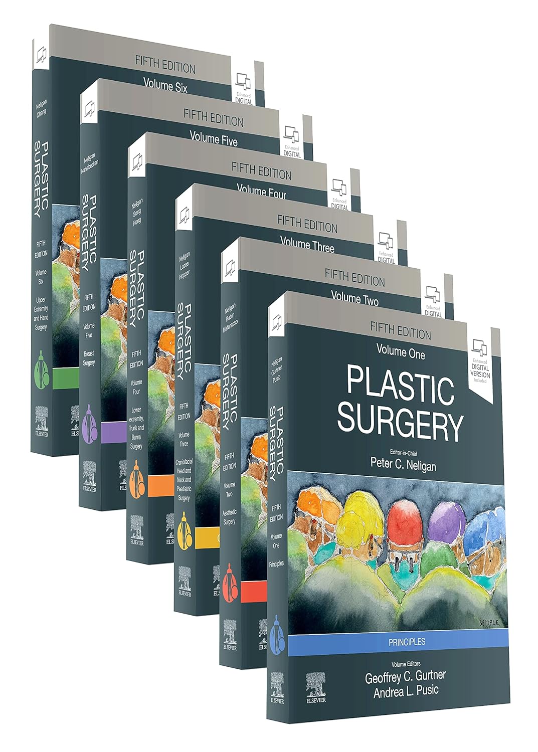 Plastic-Surgery-6-Volume-Set-5th-Edition-sXG6D-image