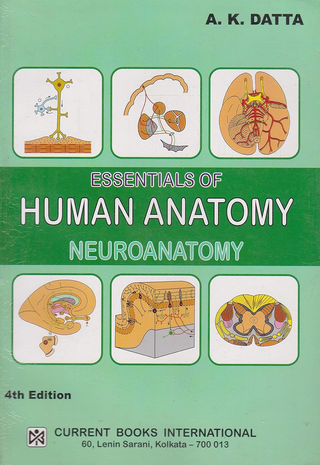Essentials-of-Human-Anatomy-Neuroanatomy-4th-Edition-EmazF