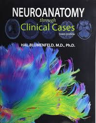 Neuroanatomy-Through-Clinical-Cases-3rd-Edition-Vzyle