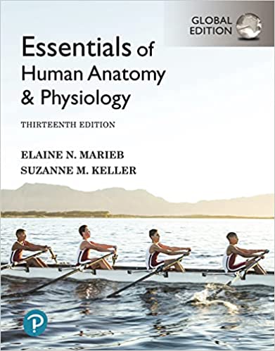 Essentials-of-Human-Anatomy--Physiology-13th-Edition-XxnmV